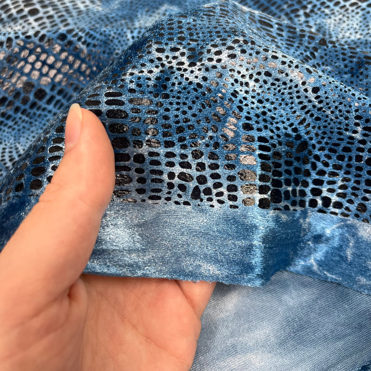 Knit - Blue Snakeskin (KXX0278)