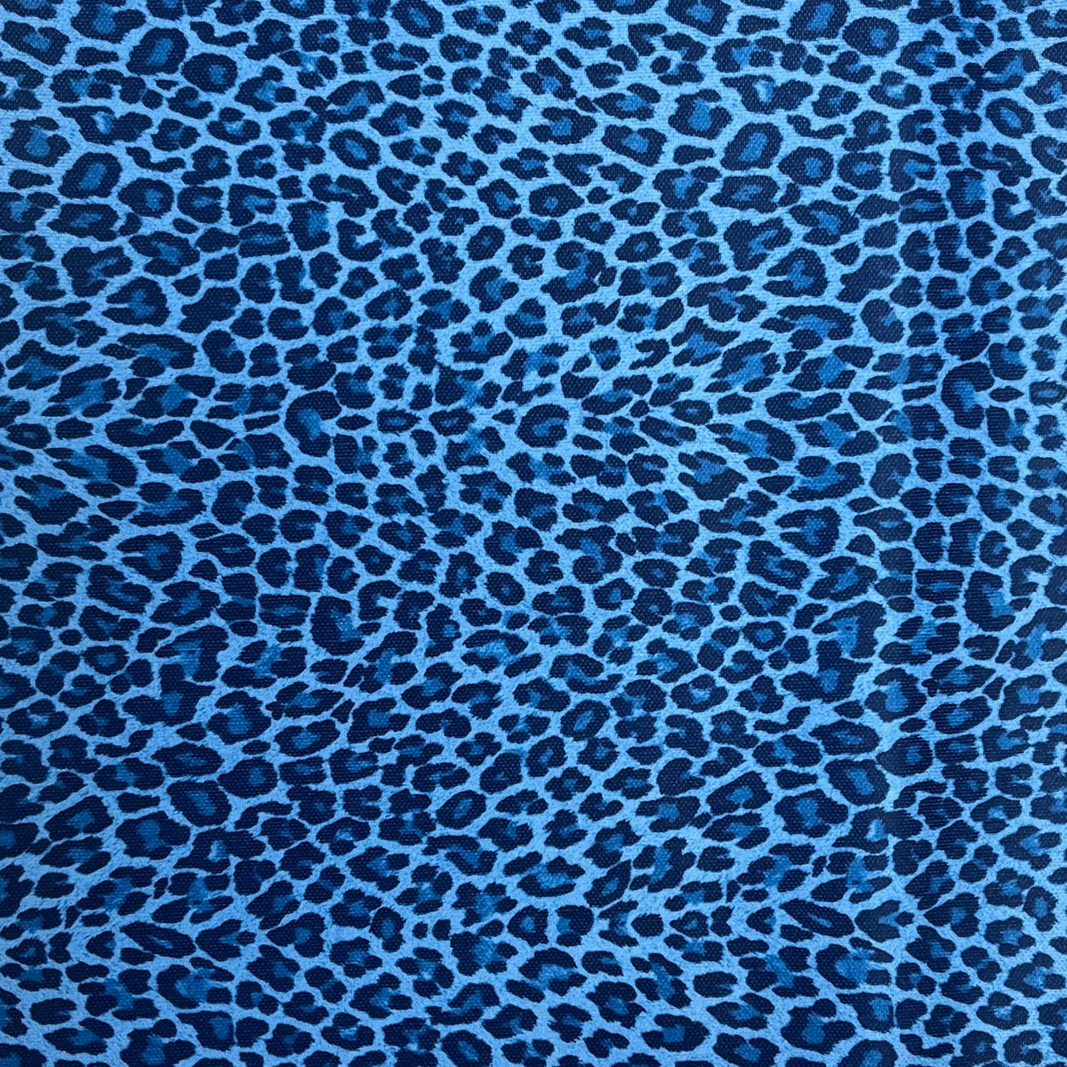 Knit - Blue Leopard (KXX0276)