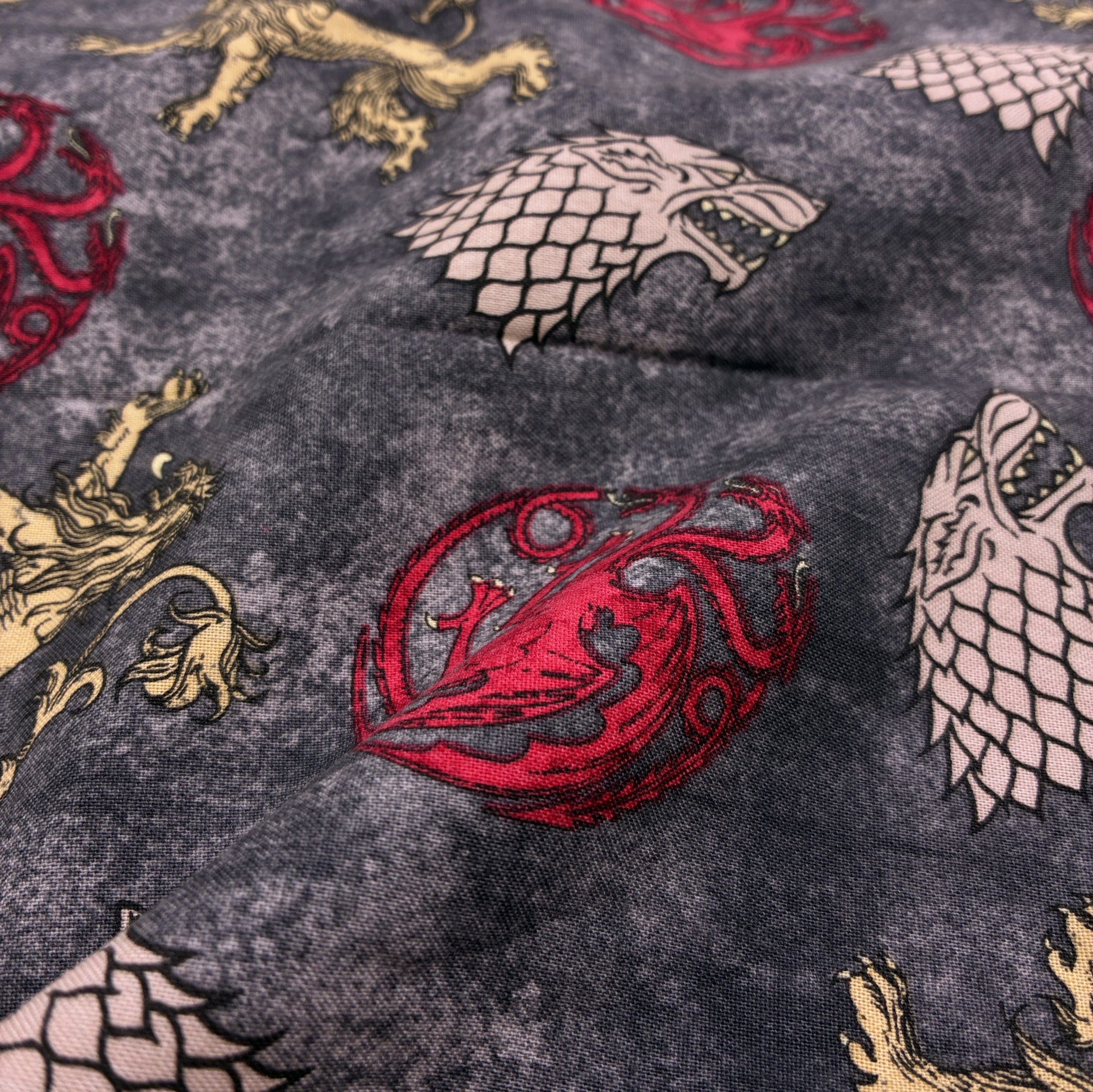 Quilting Cotton - Power Play (WQC3102)
