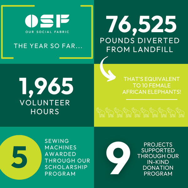 The Year So Far at Our Social Fabric