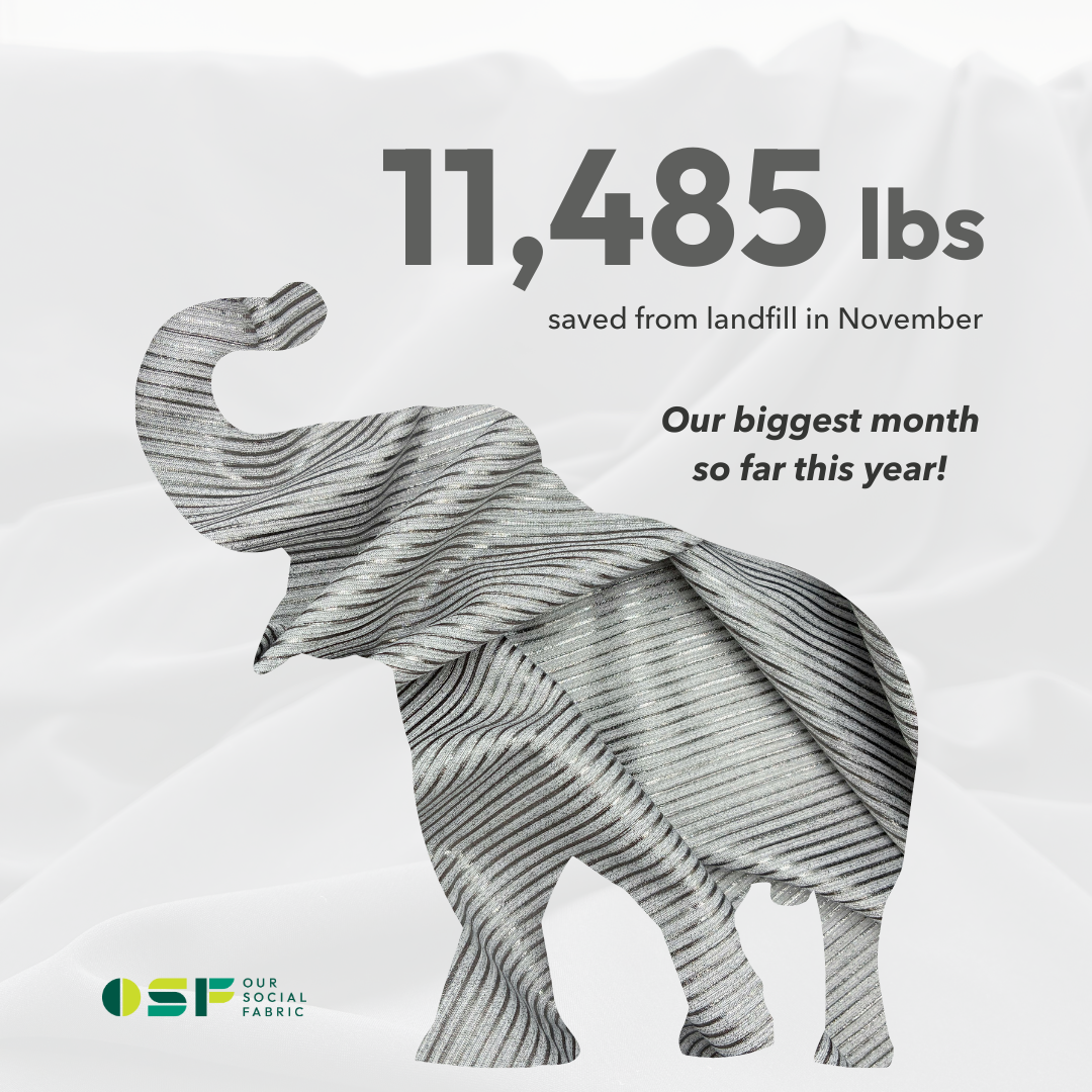 November was BIG - record-breaking big!