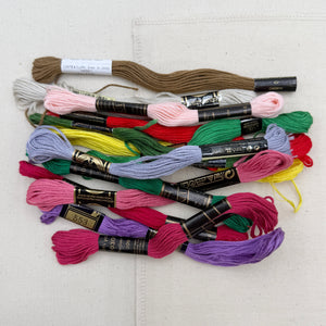 Embellishment Pack - Embroidery Floss (NXX1463)