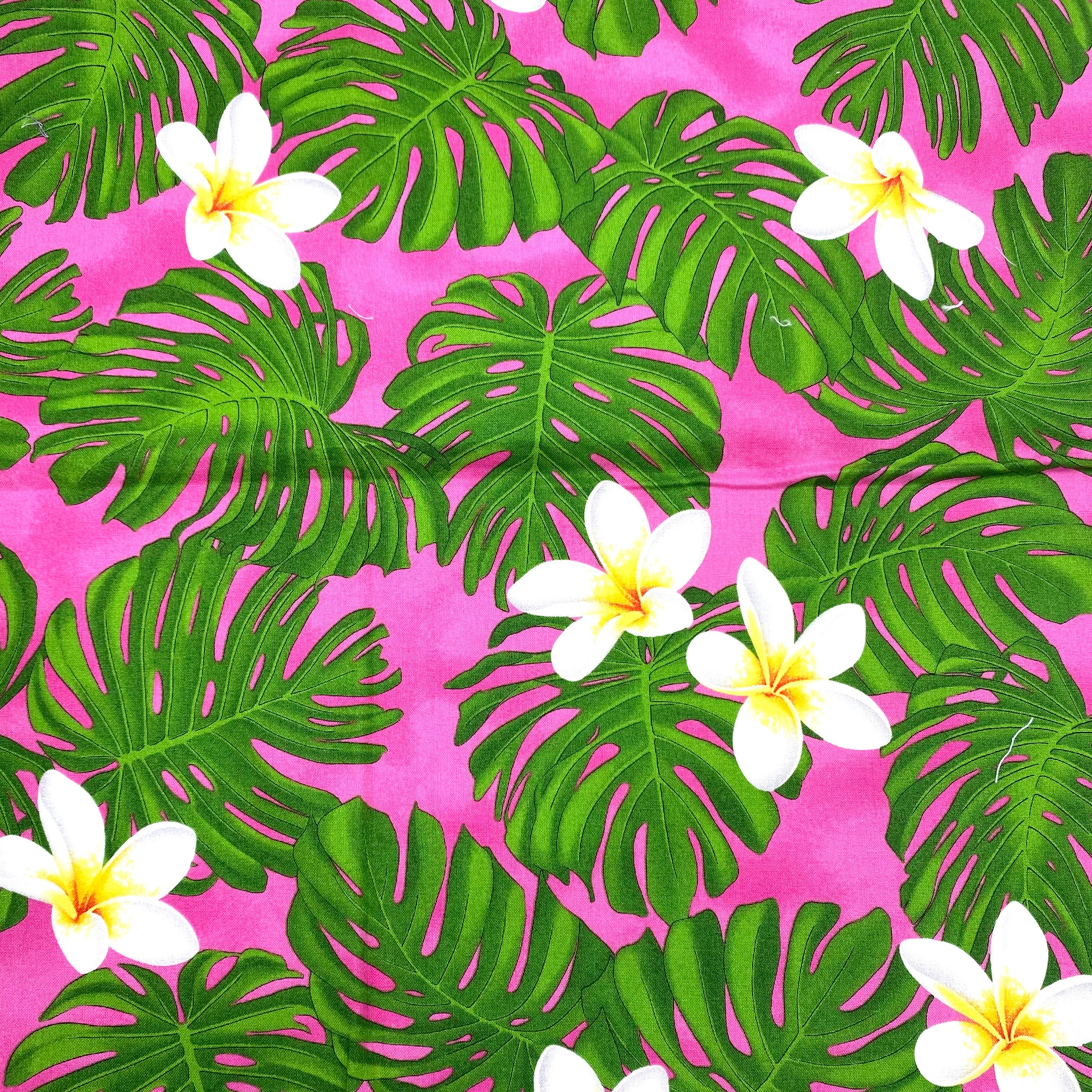 Quilting Cotton - Realistic Hibiscus (WQC2822)