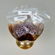 Load image into Gallery viewer, Plastic Buttons, Mauve (NBU0414)
