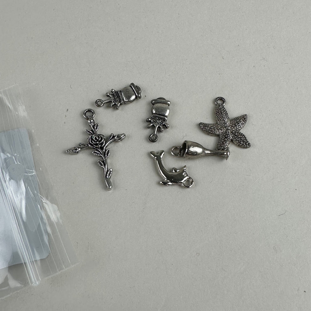Embellishment Pack - Assorted Charms (NXX1502)