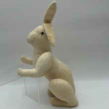 Load image into Gallery viewer, Build a Stuffy, Bunny (NCR0101)
