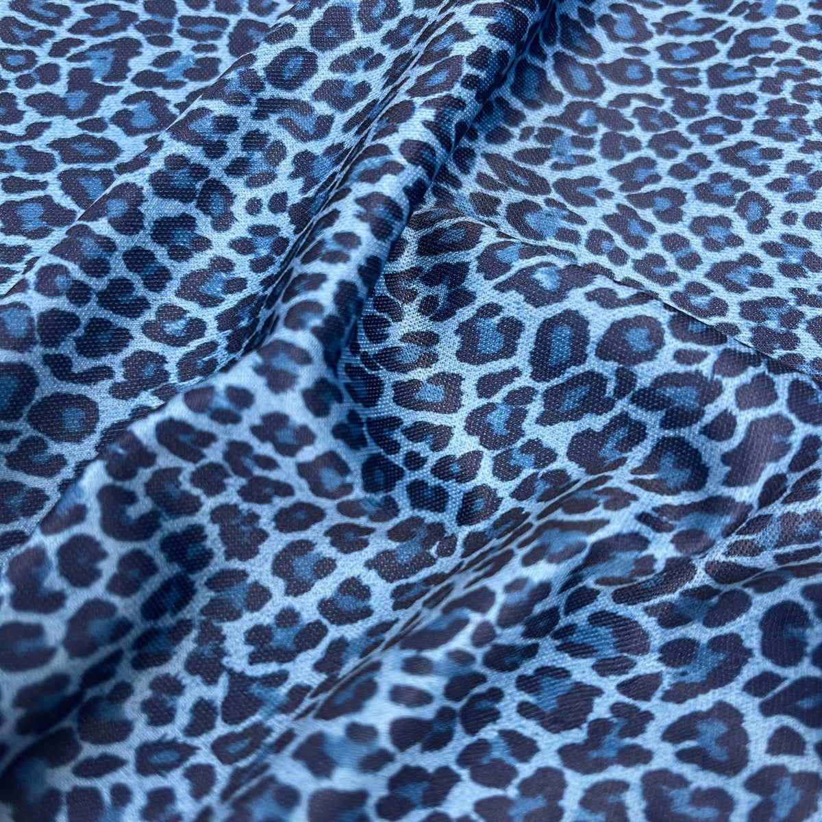Knit - Blue Leopard (KXX0276)