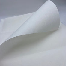 Load image into Gallery viewer, Heavy Bonded Sew-in Interfacing - White (SIF0023:24)
