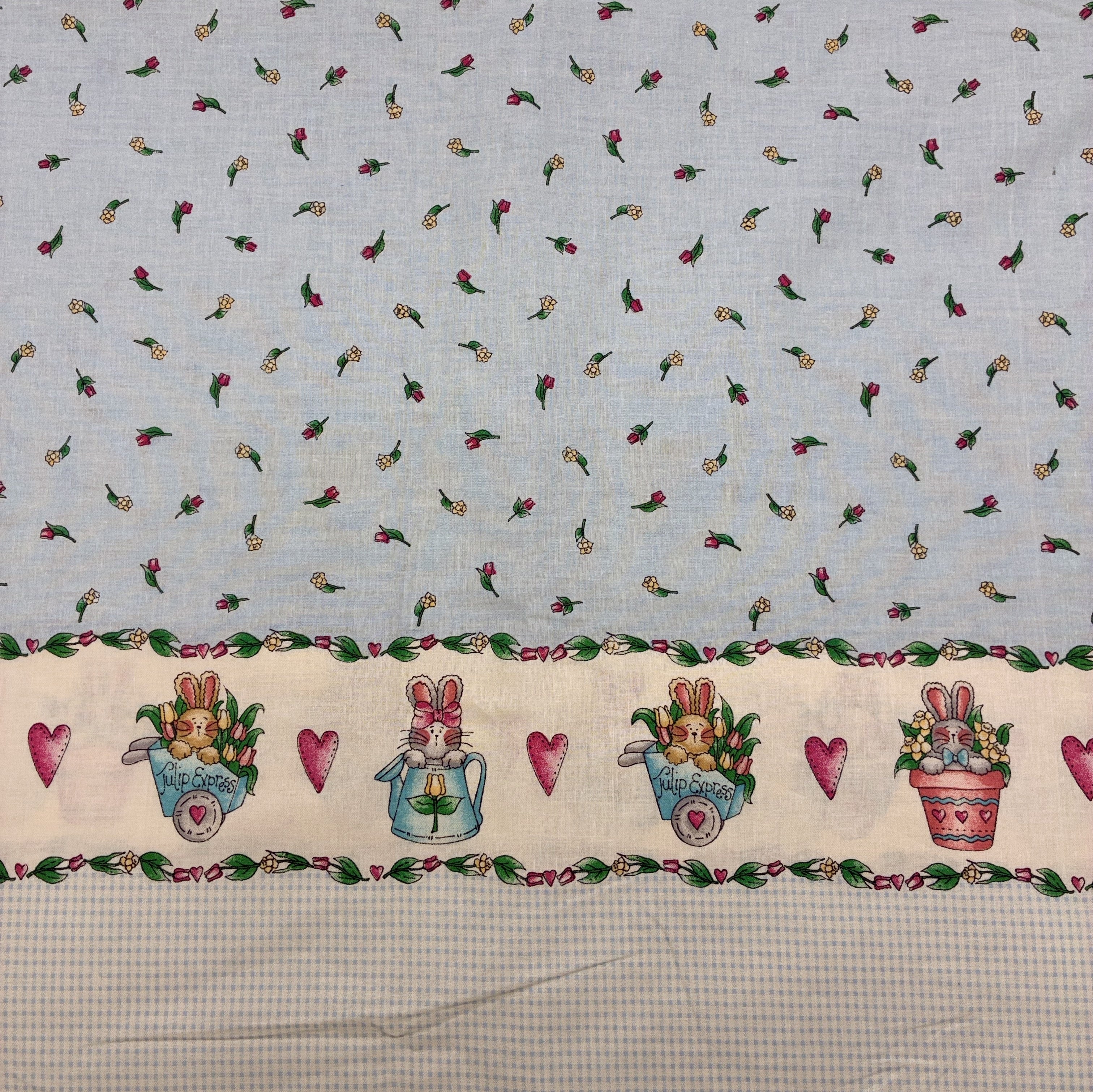 Cotton Shirting - Tulip Express Border Pattern (WDW3627)