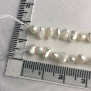 Shell Beads, Strand, Pearl (NBD0303)