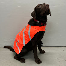 Load image into Gallery viewer, Water Resistant Outerwear, Orange (SOW0082:83)
